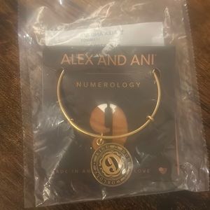 Alex and ani numerology 9